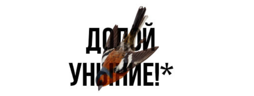 Три сестры
