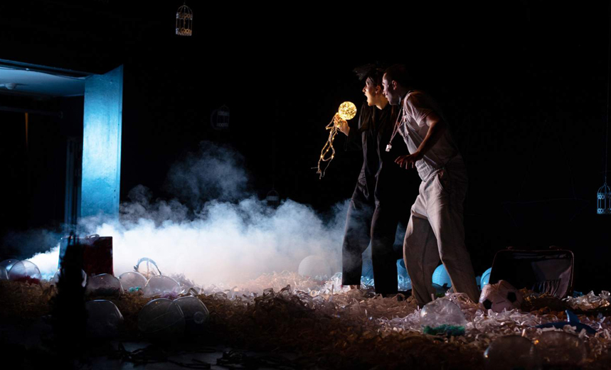 Черная курица