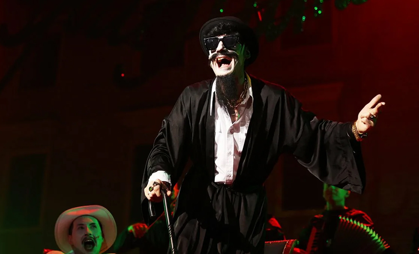 Черная кошка, белый кот